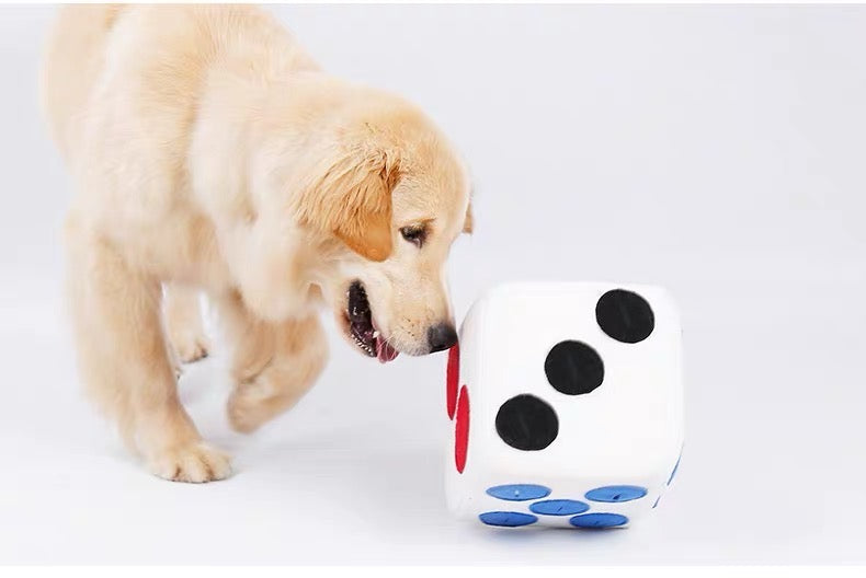 Pet Dice Sniffing toy