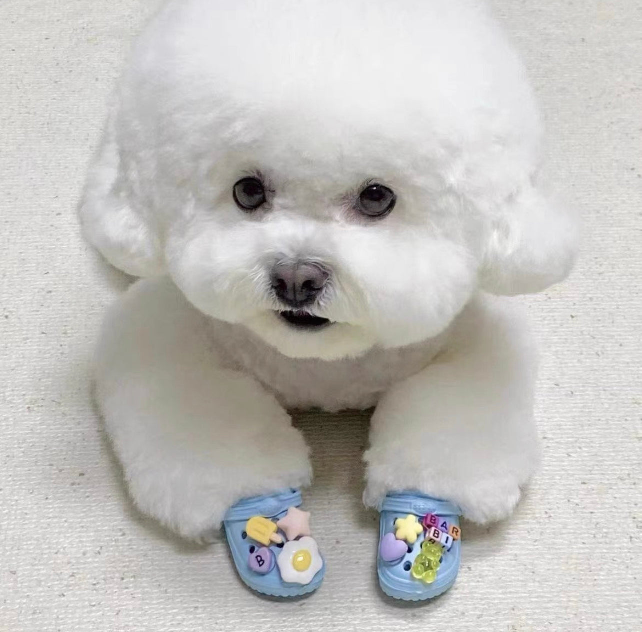 Pet cross sandals