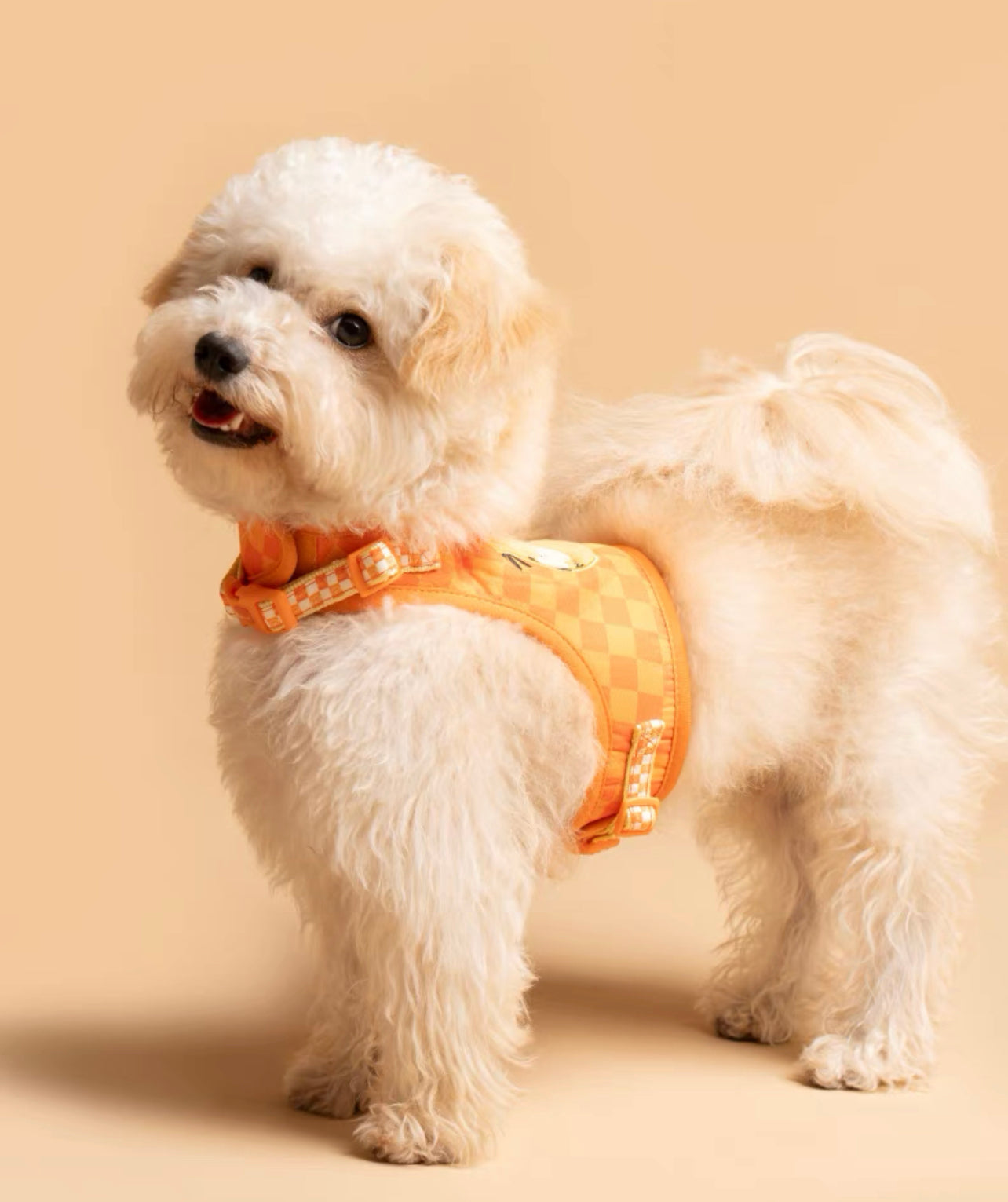 Garfield theme cat design pet harness & leash set