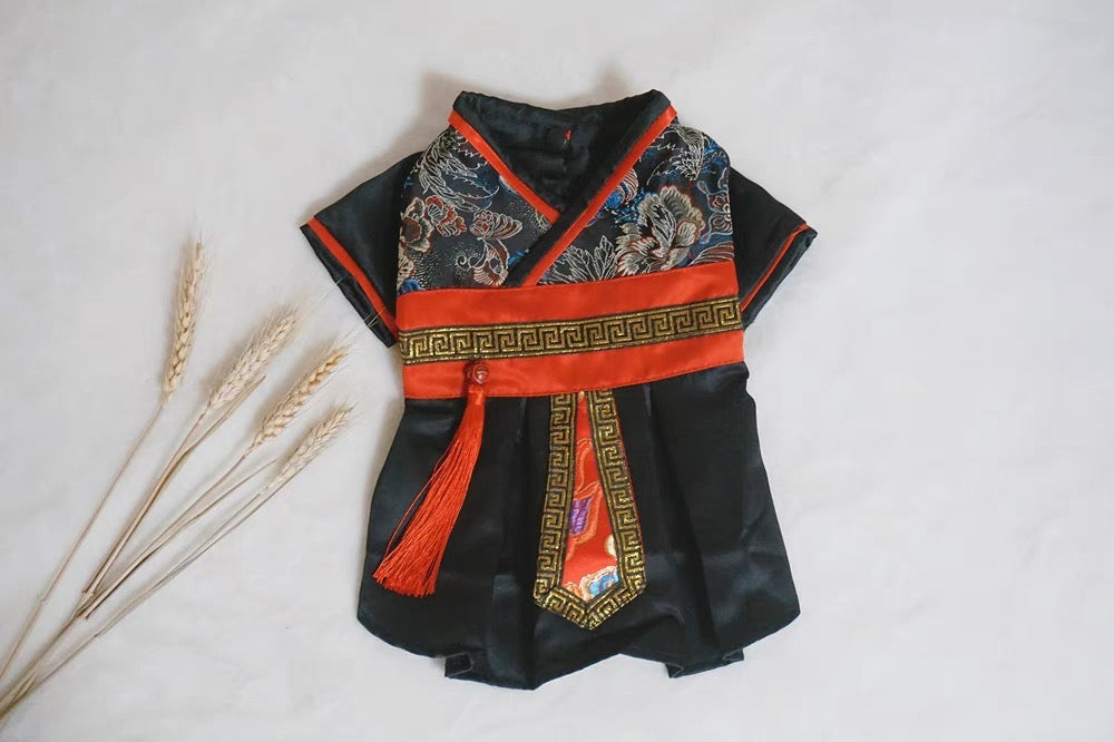 Black knight costume