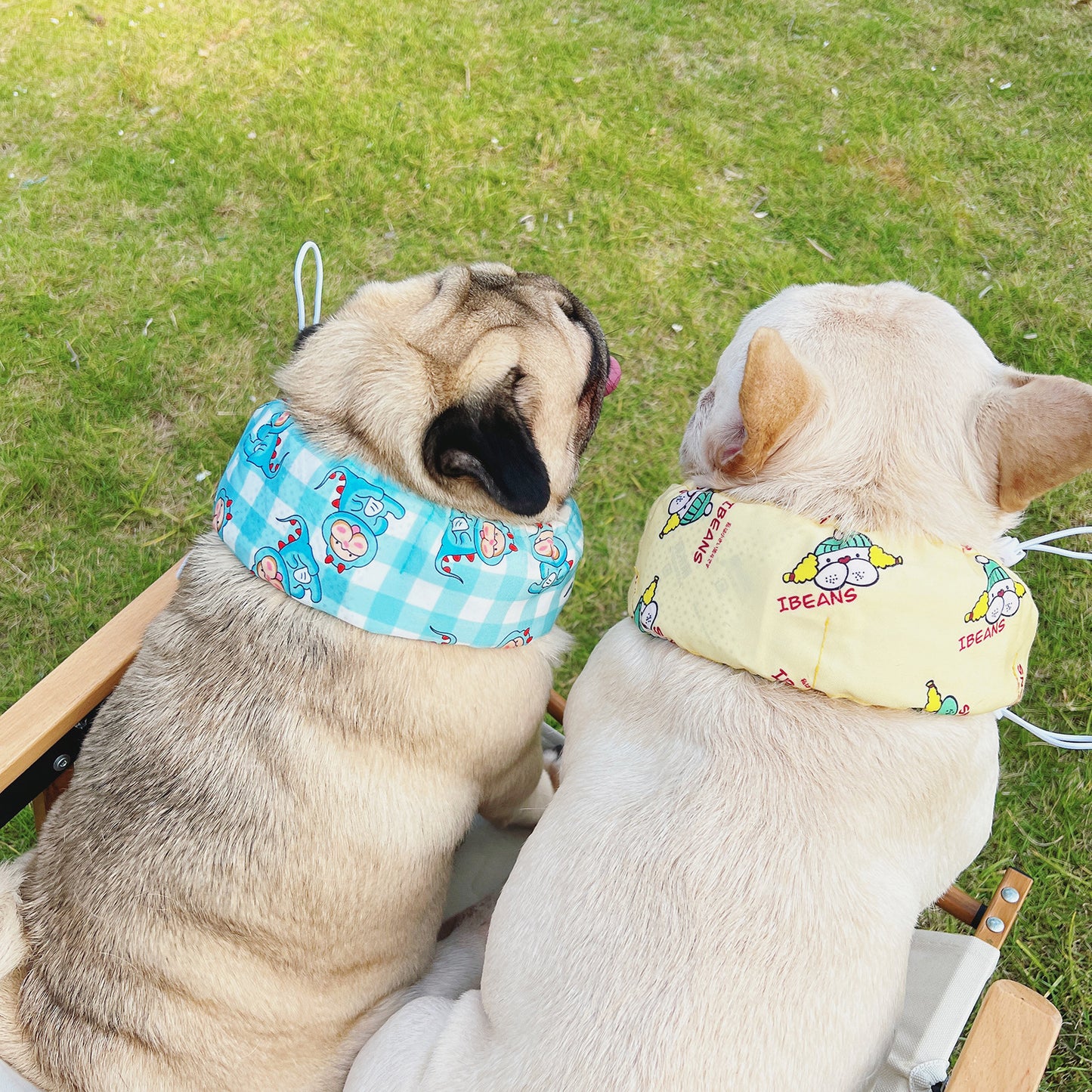 Pet cooling bandana