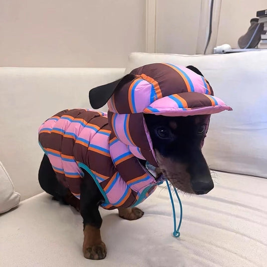 Pet winter jacket