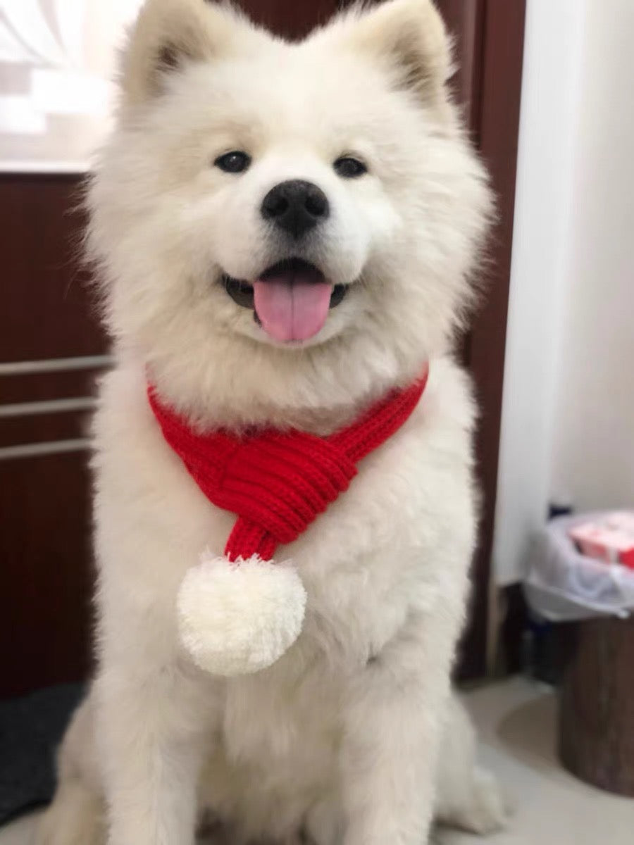Pet scarf