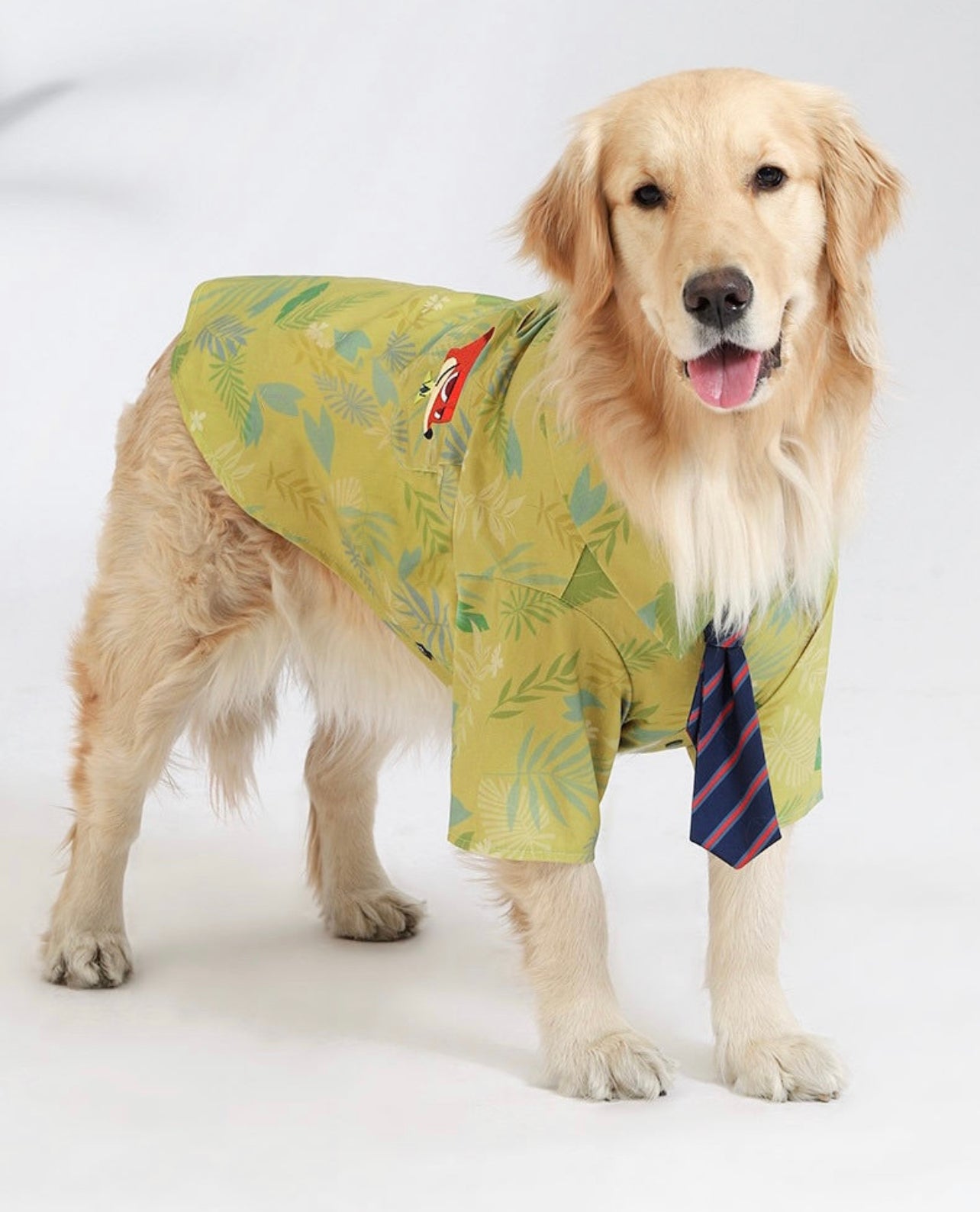 Nick’s pet shirt & tie