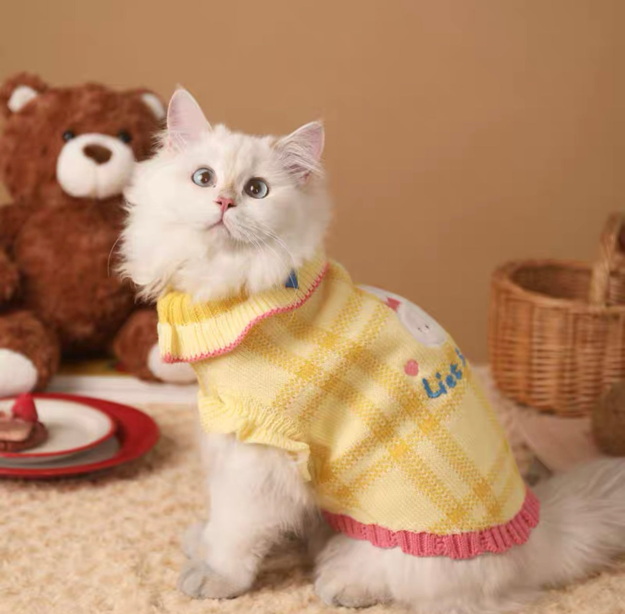 Pet cute outfit clothes