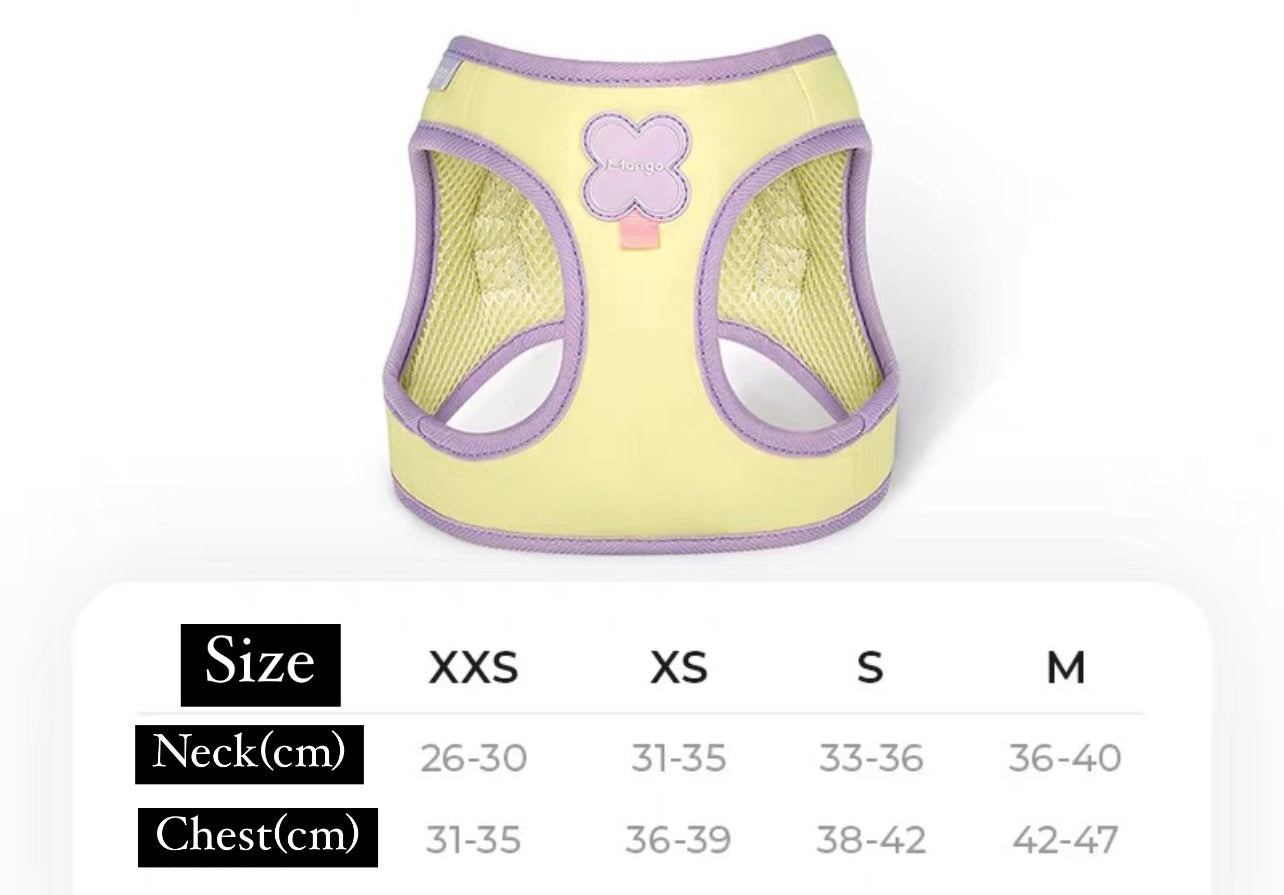 Pastel pet harness set
