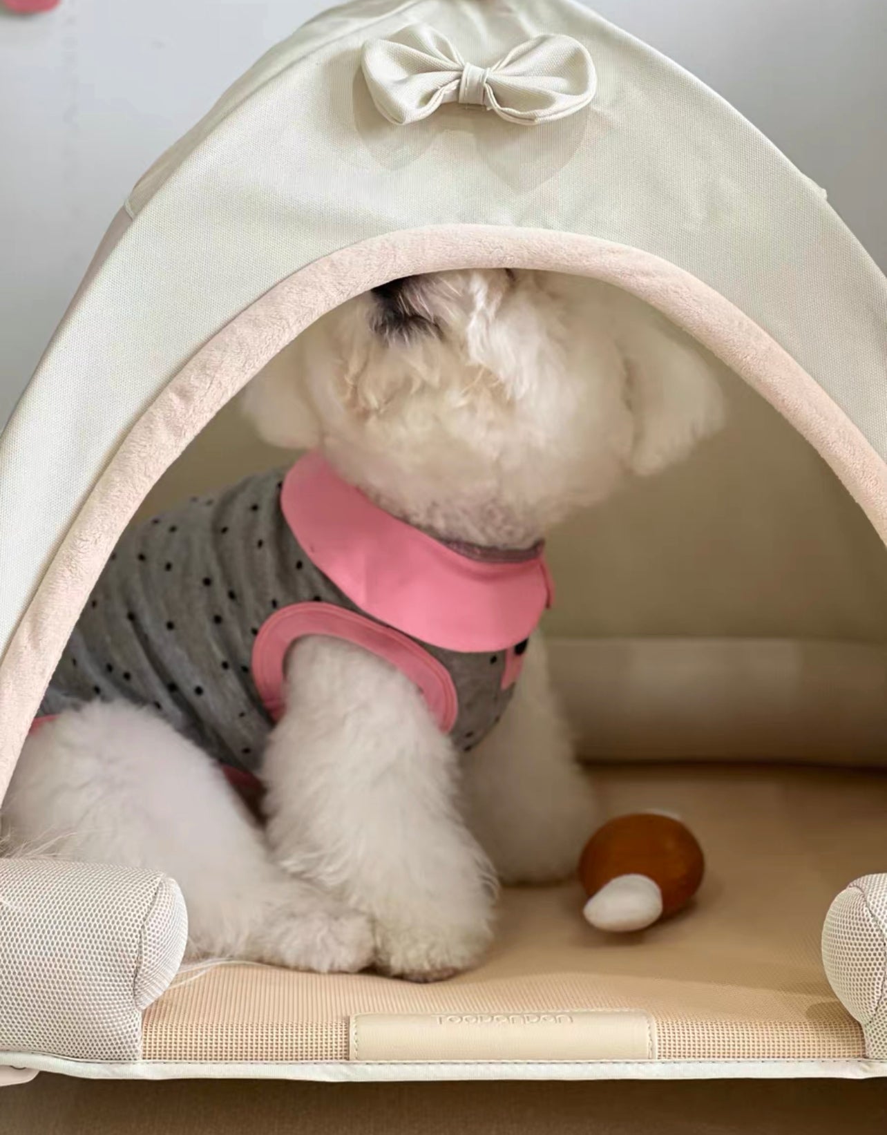 Pet elevated tent bed