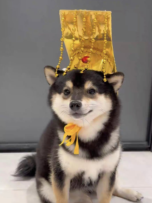 Emperor hat ( Free size)