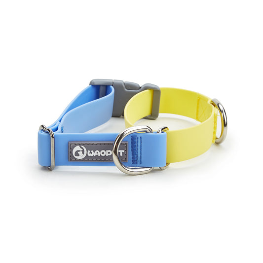 PVC waterproof collar & leash