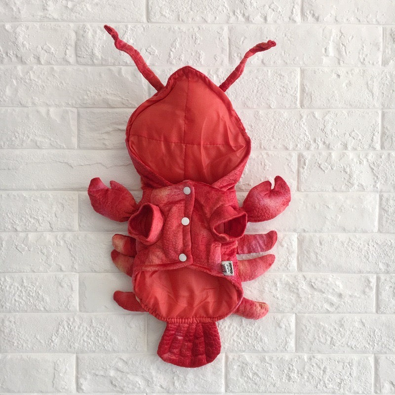 Lobster costume