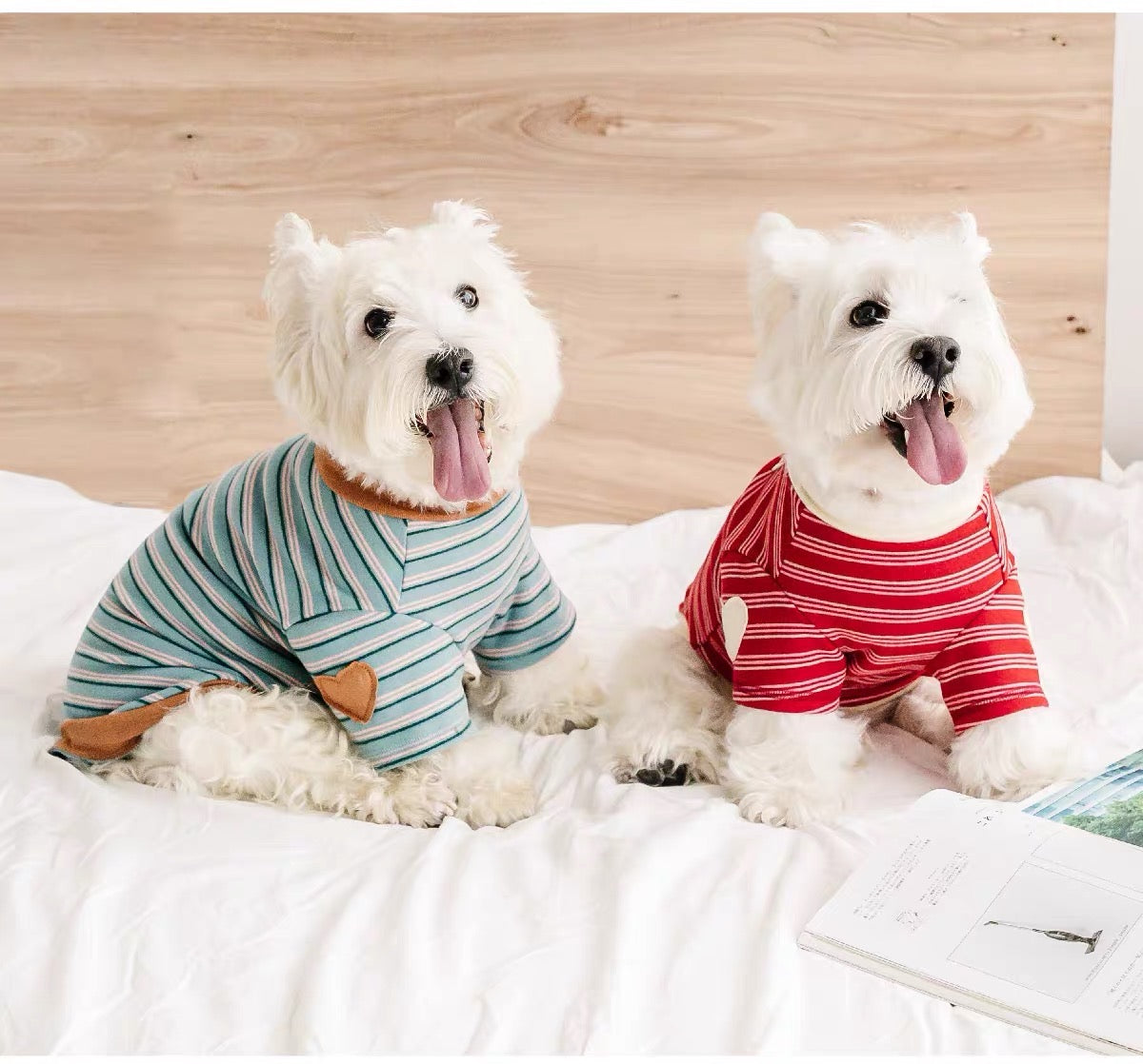 Striped pet clothes