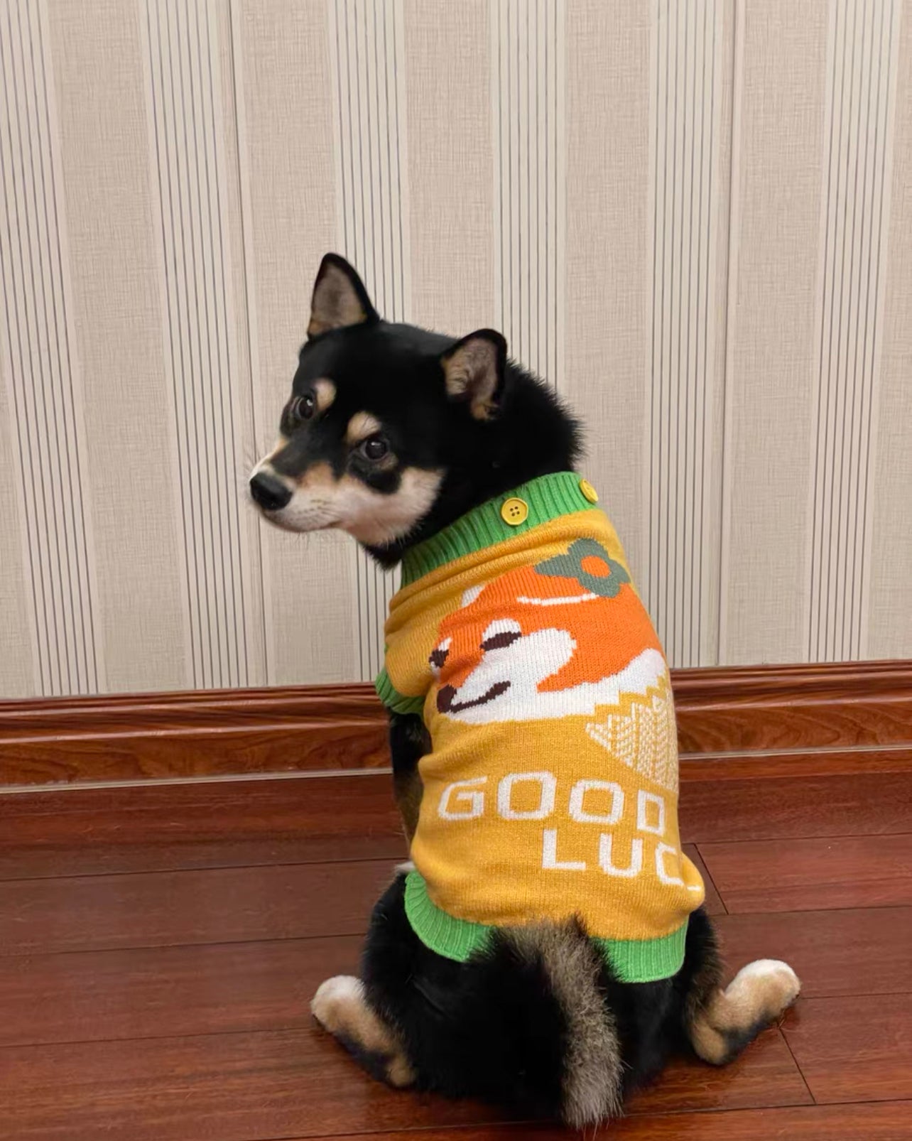 Lucky sweater