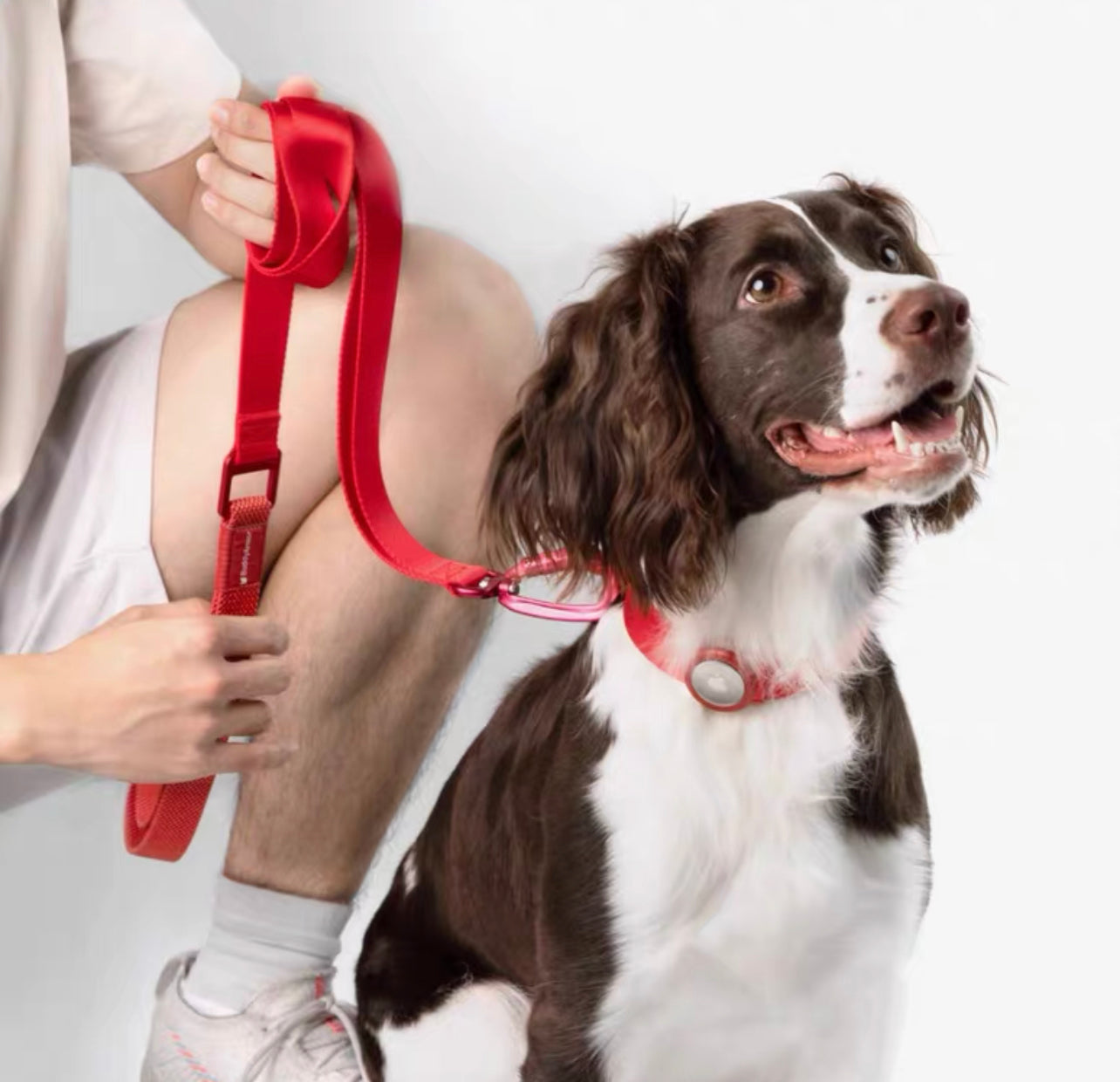 Premium Light Alloy Leash