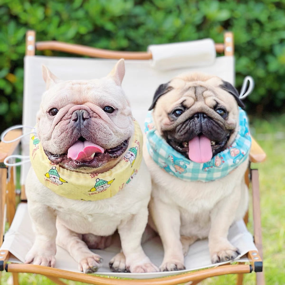 Pet cooling bandana