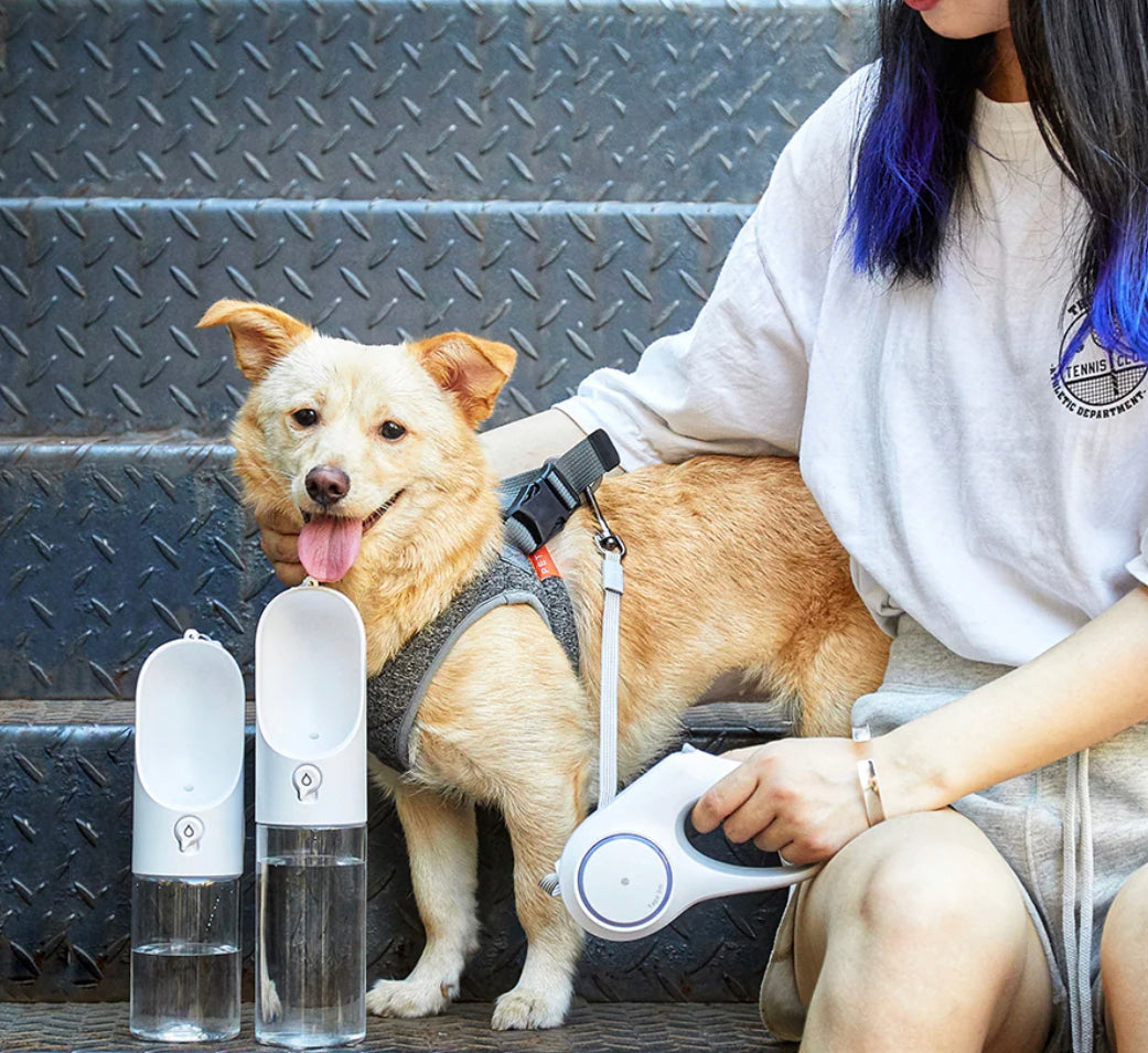 클래식 화이트 PET병