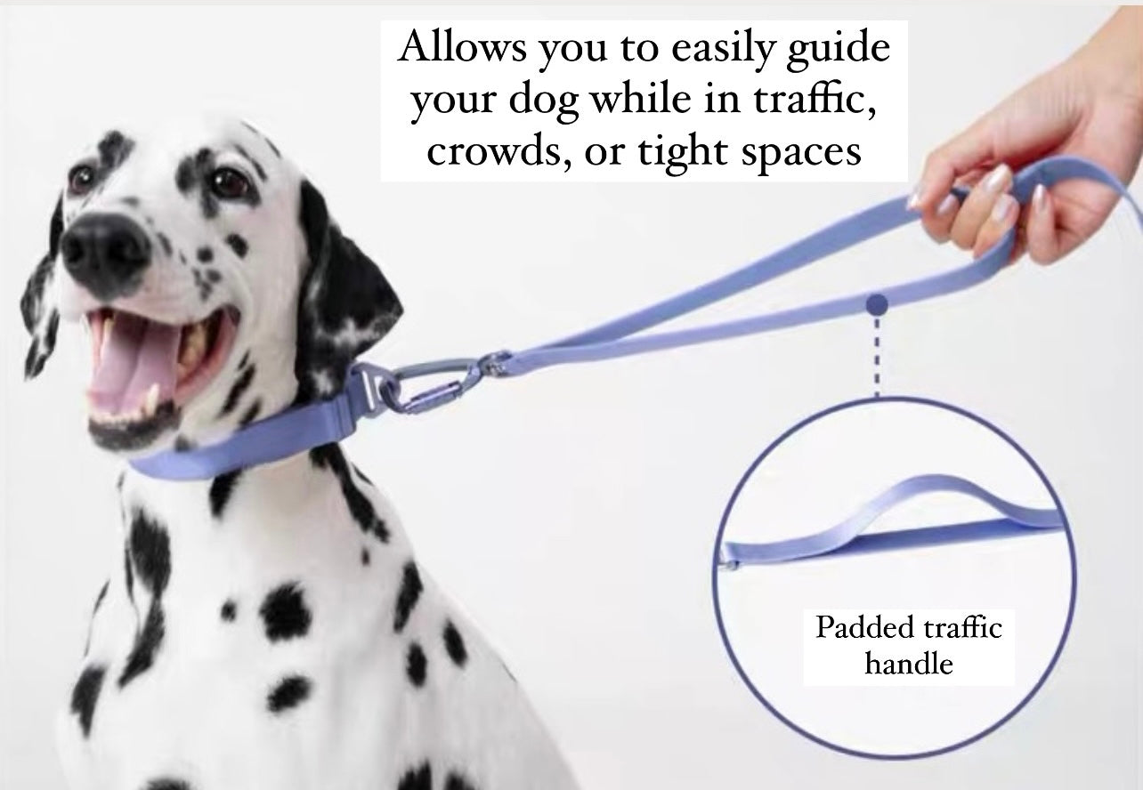 Premium Light Alloy Leash