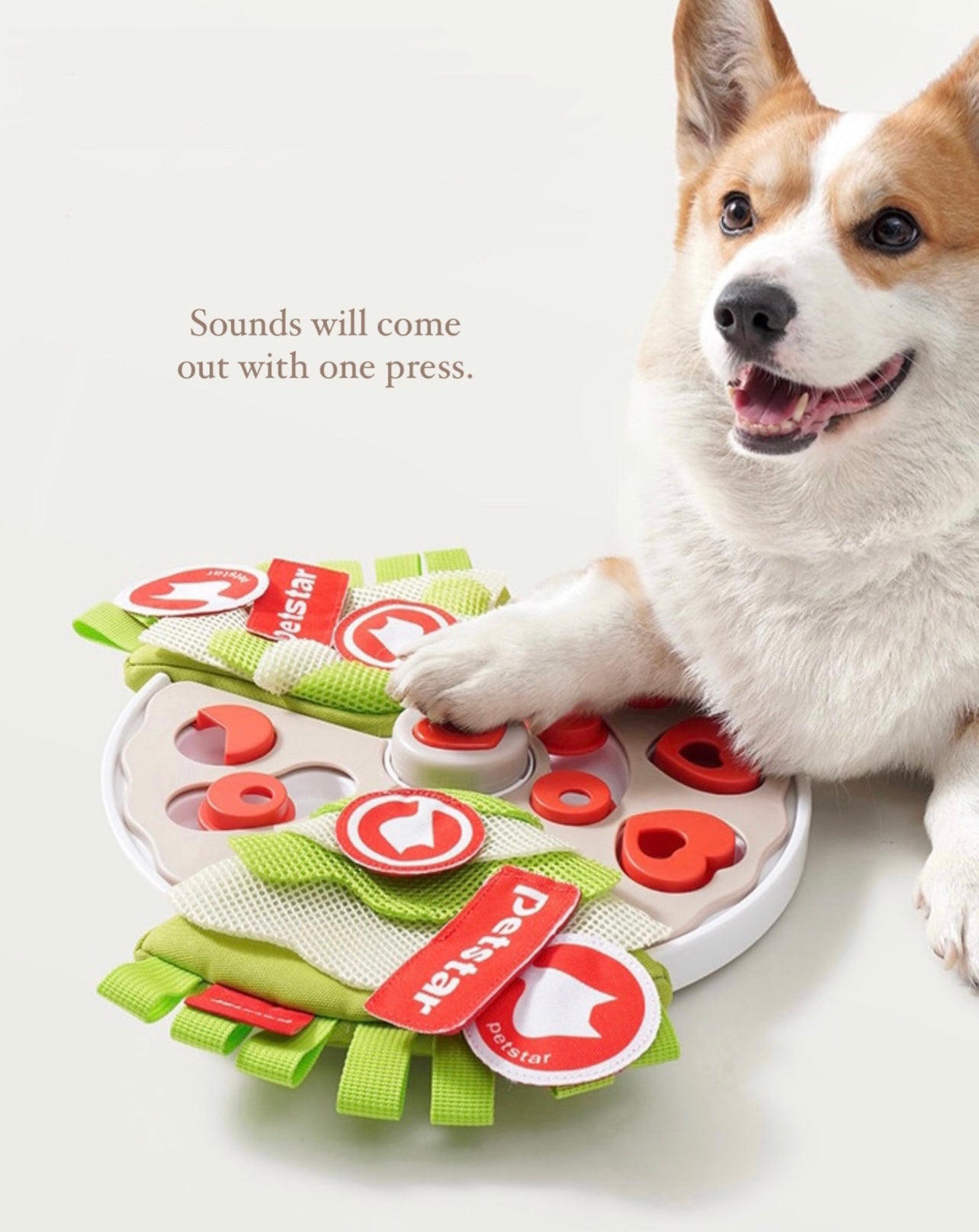 Pet pizza sniffing toy