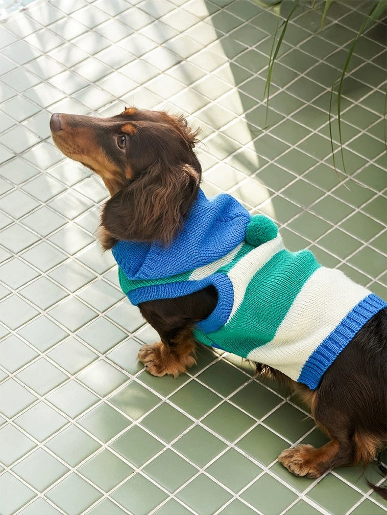 Pet Striped singlet