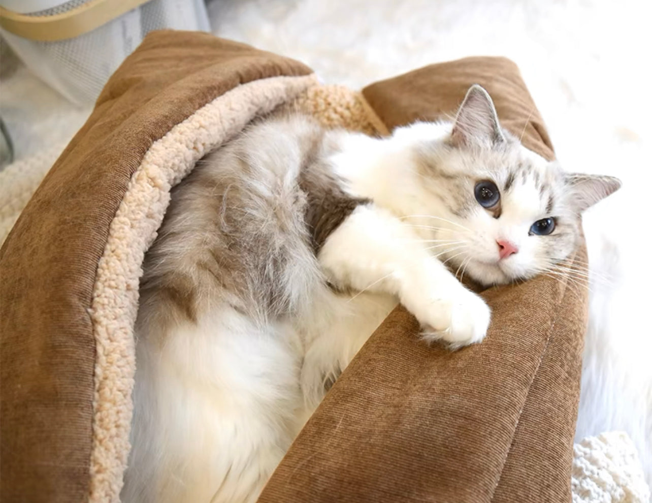 Warm pet nest