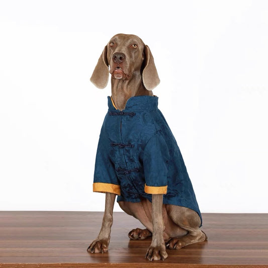 CNY clothes for large dog