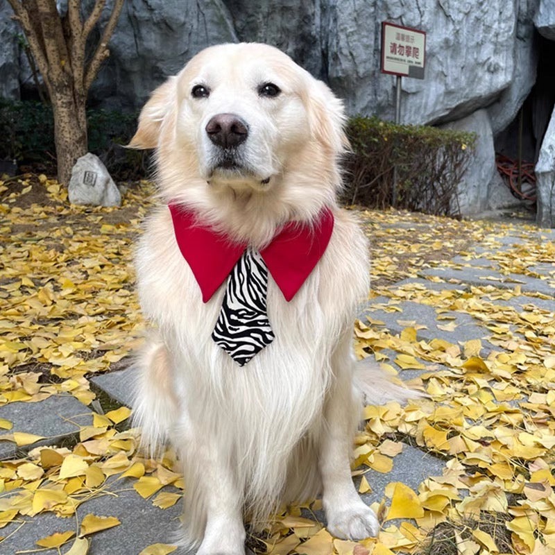 Pet tie