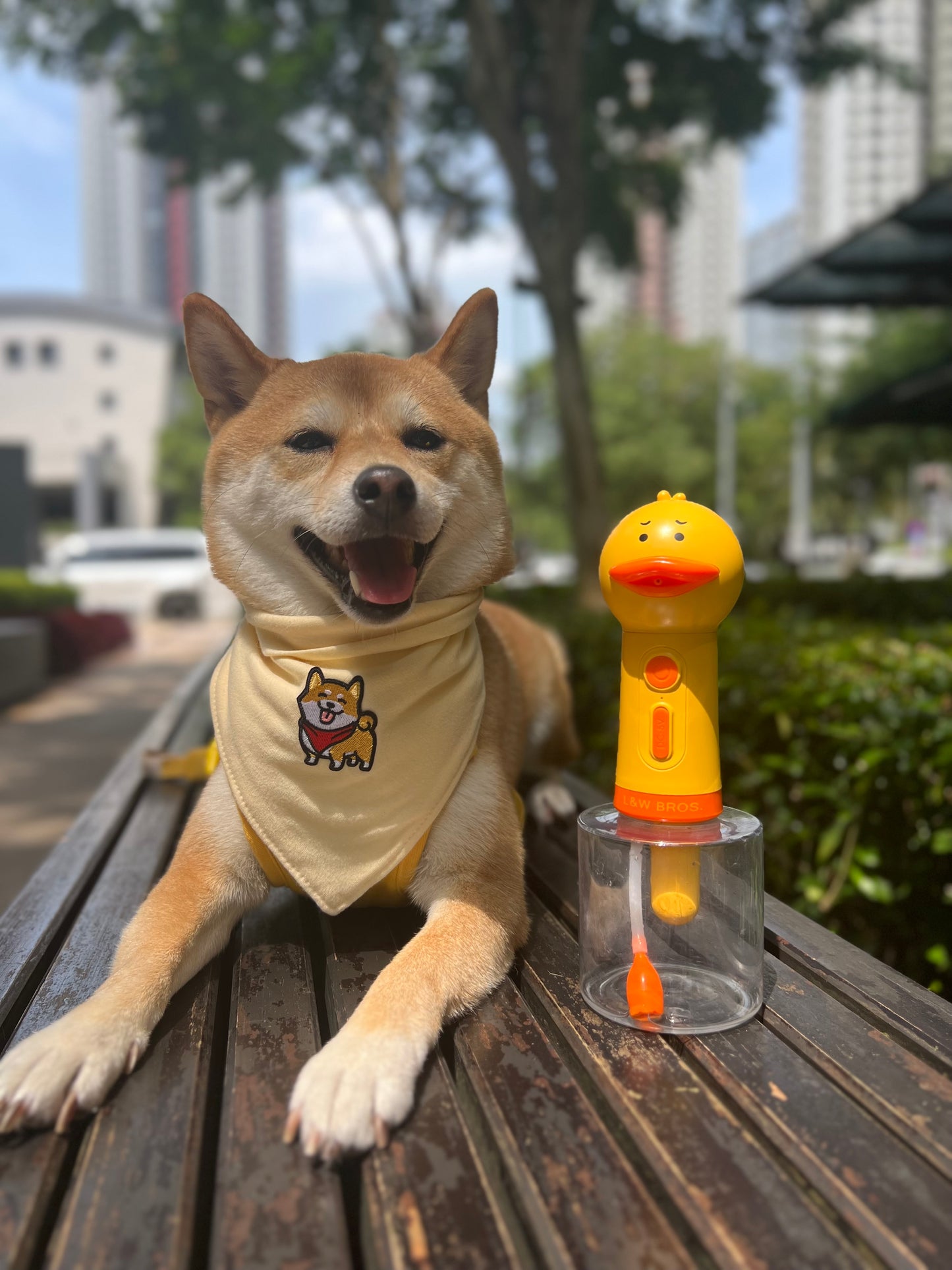 Duck shampoo dispenser