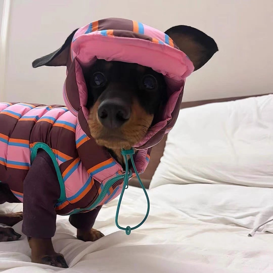 Pet winter jacket