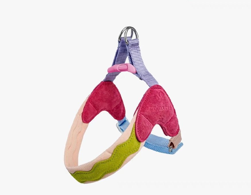 Colorful stylish harness