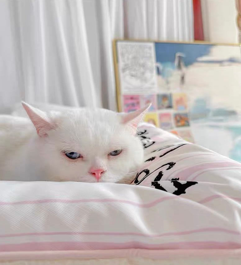 Black cat pet mattress