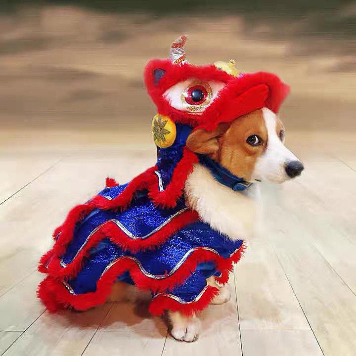 CNY Lion Dance costume