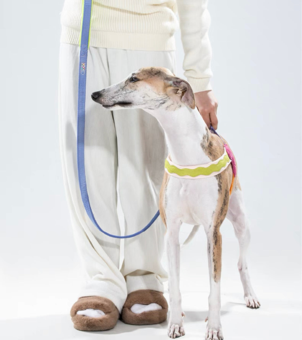 Colorful stylish harness
