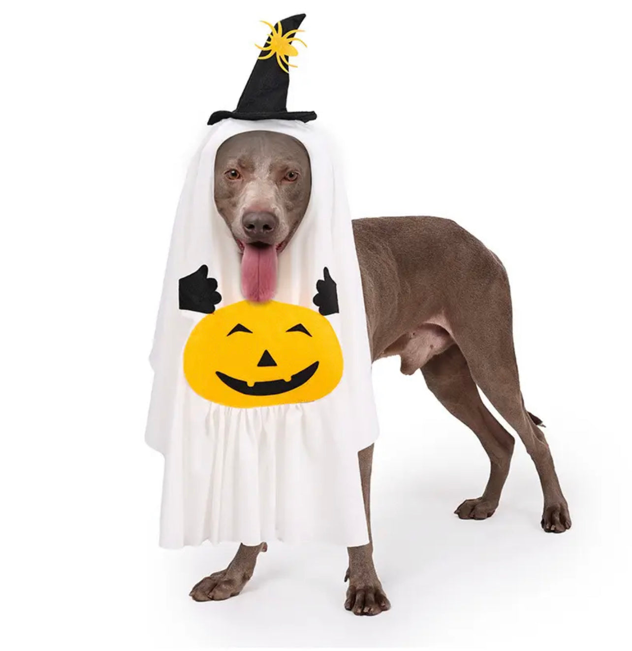 Pet ghost costume (swipe to see size chart)