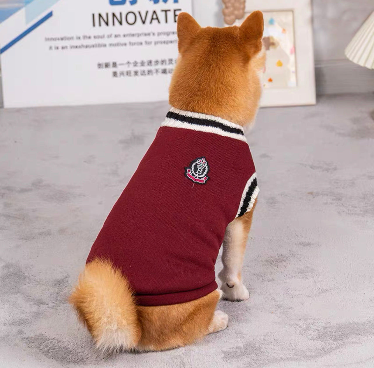 College style pet sweater