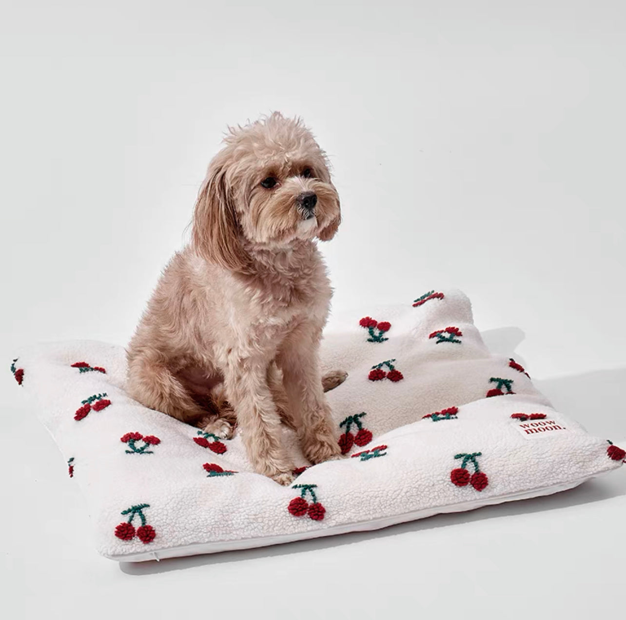Soft & cozy pet mattress