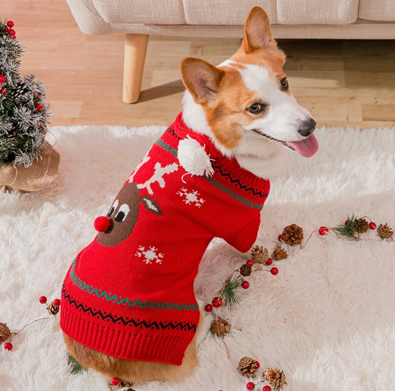 Reindeer sweater