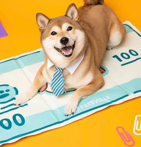 Dollar pet cooling mat