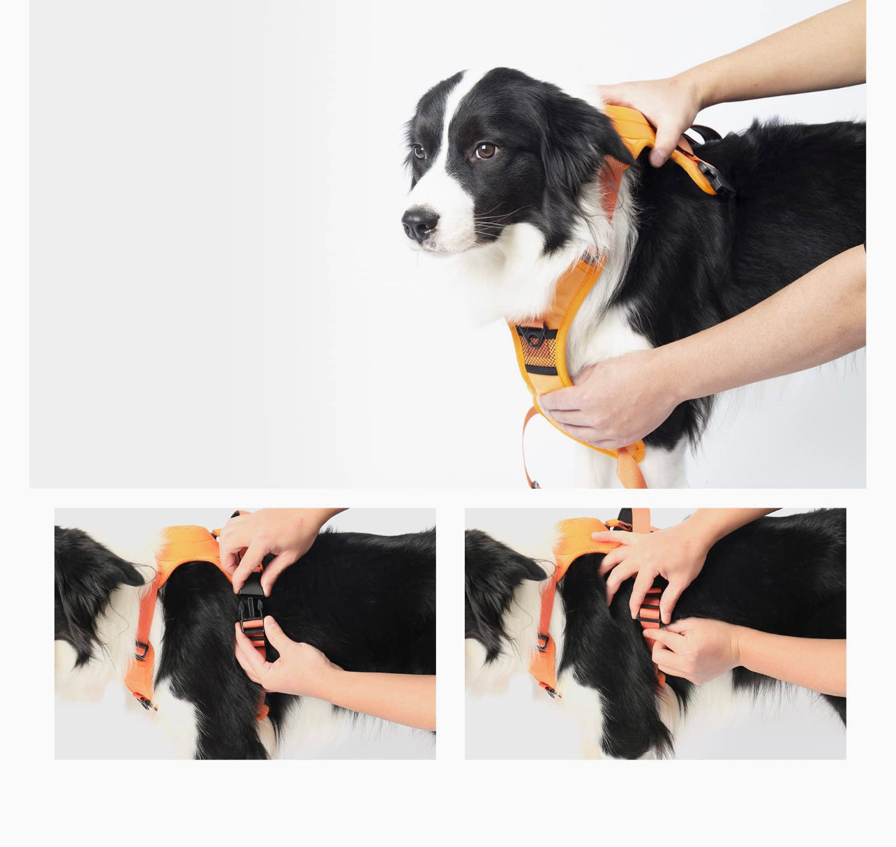 All in one pet harness