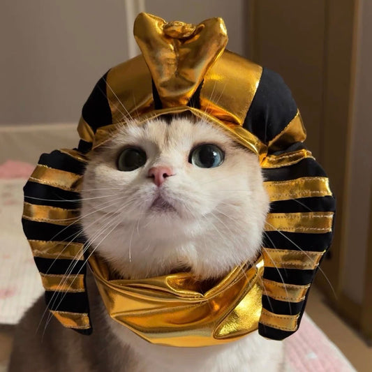 Pharaoh costume
