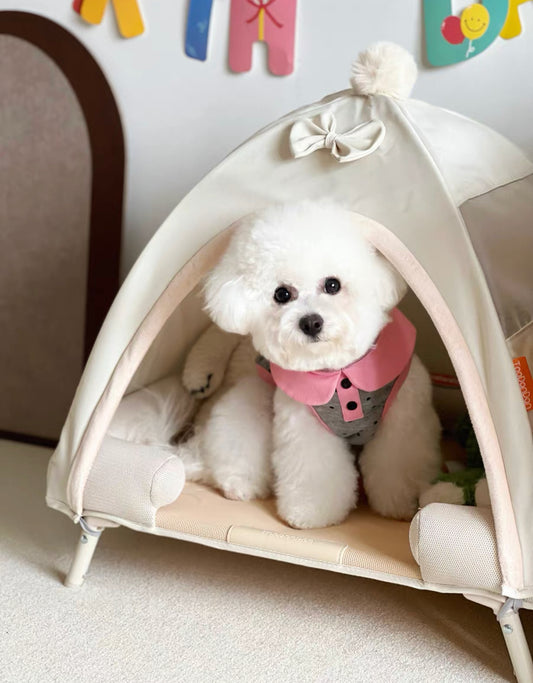 Pet elevated tent bed
