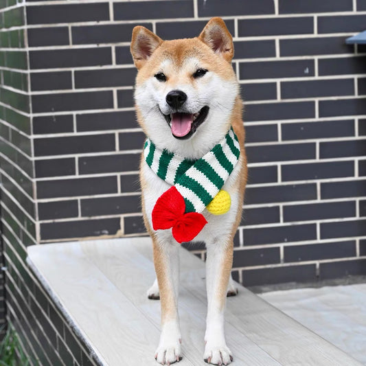 Pet scarf