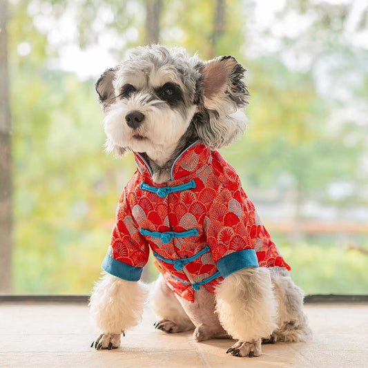 CNY Tang costume