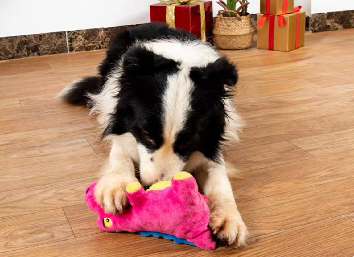 Pink Dino chewing toy