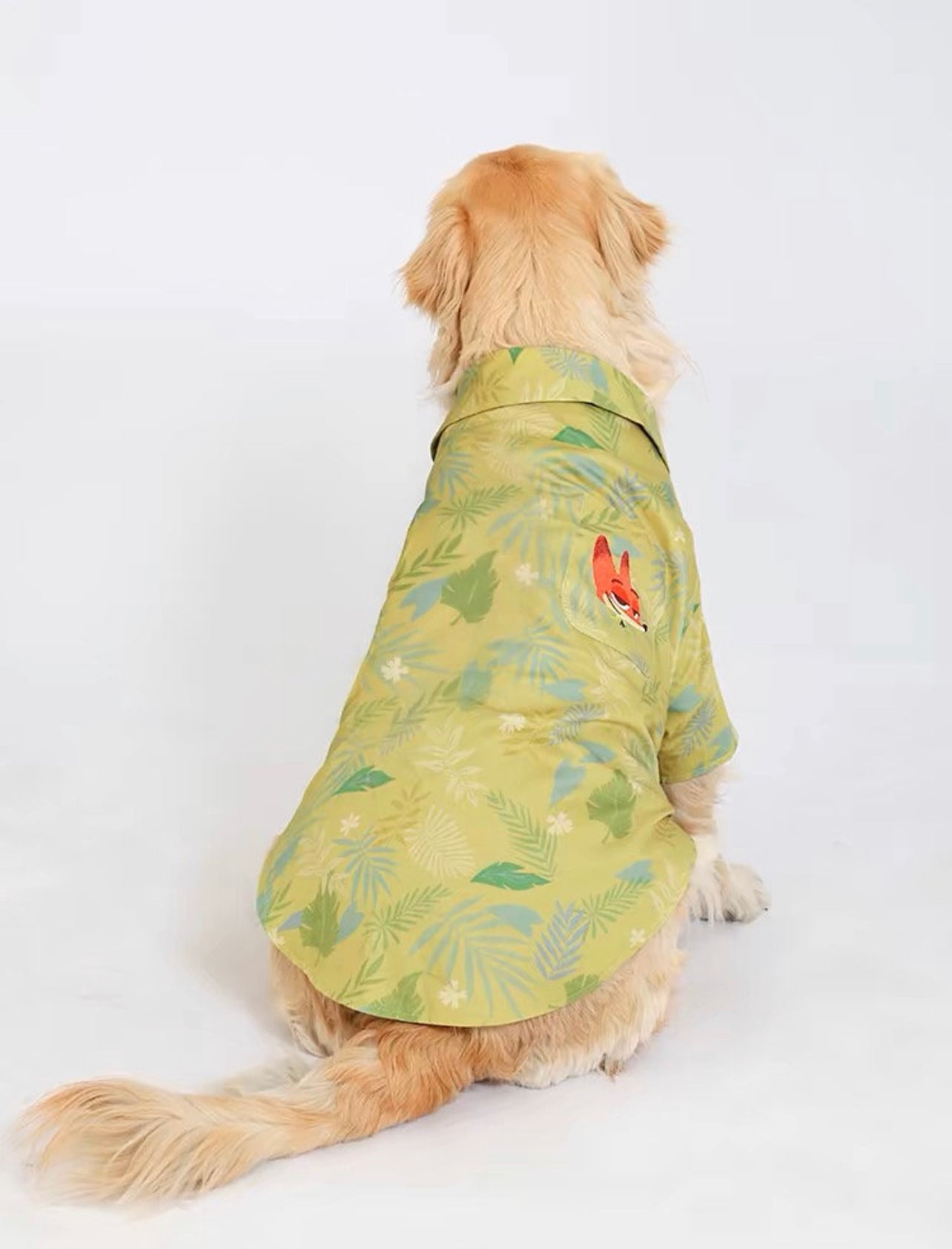 Nick’s pet shirt & tie
