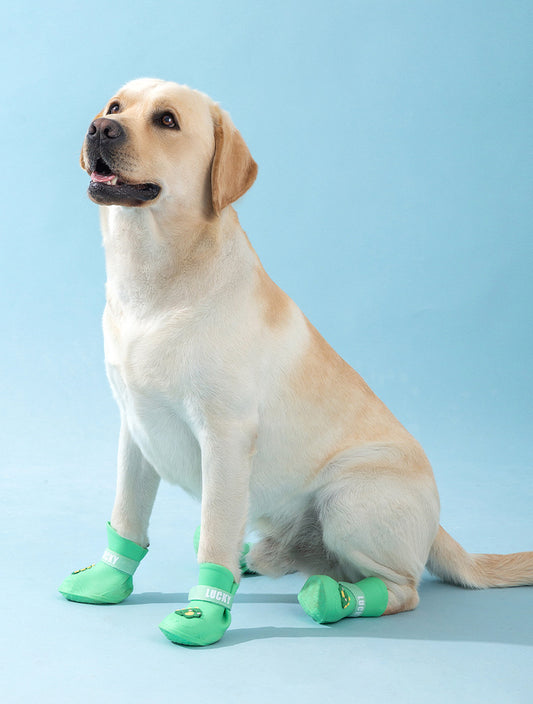 Pet shoes for large dog