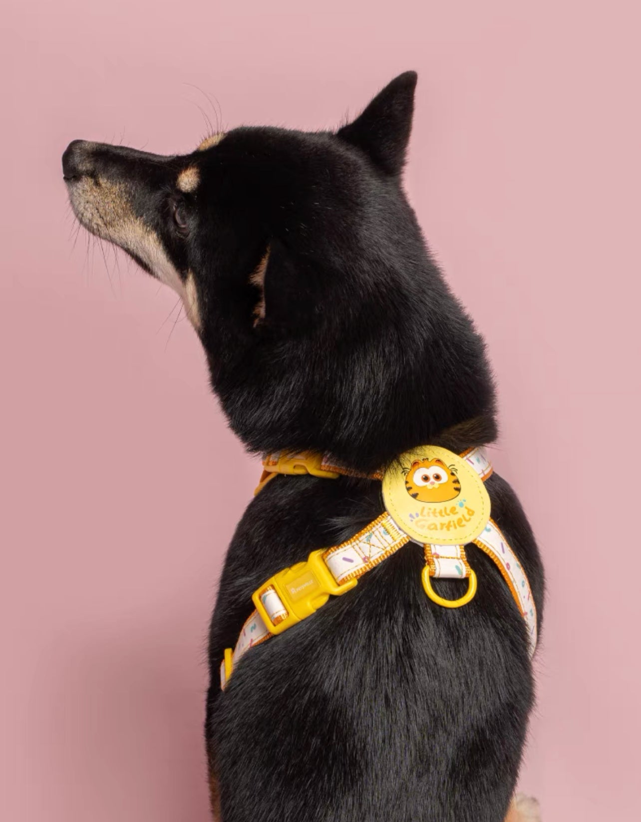 Garfield theme simple design pet harness & leash set