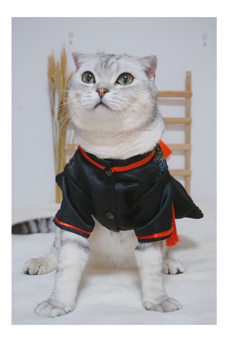 Black knight costume