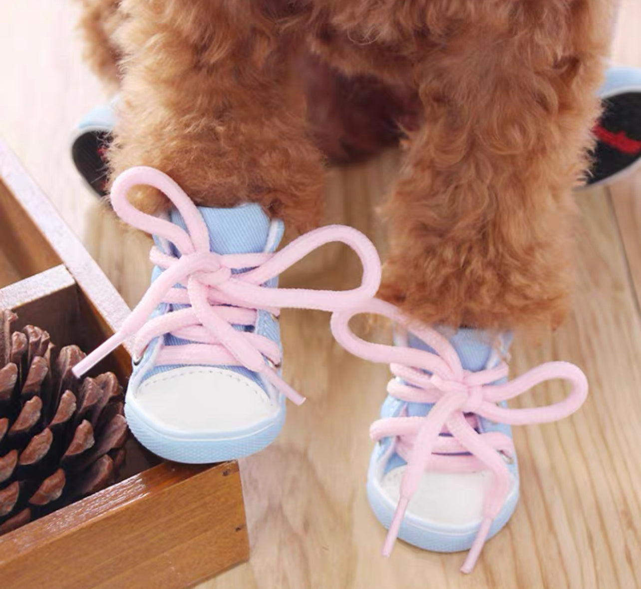 Pet sneakers