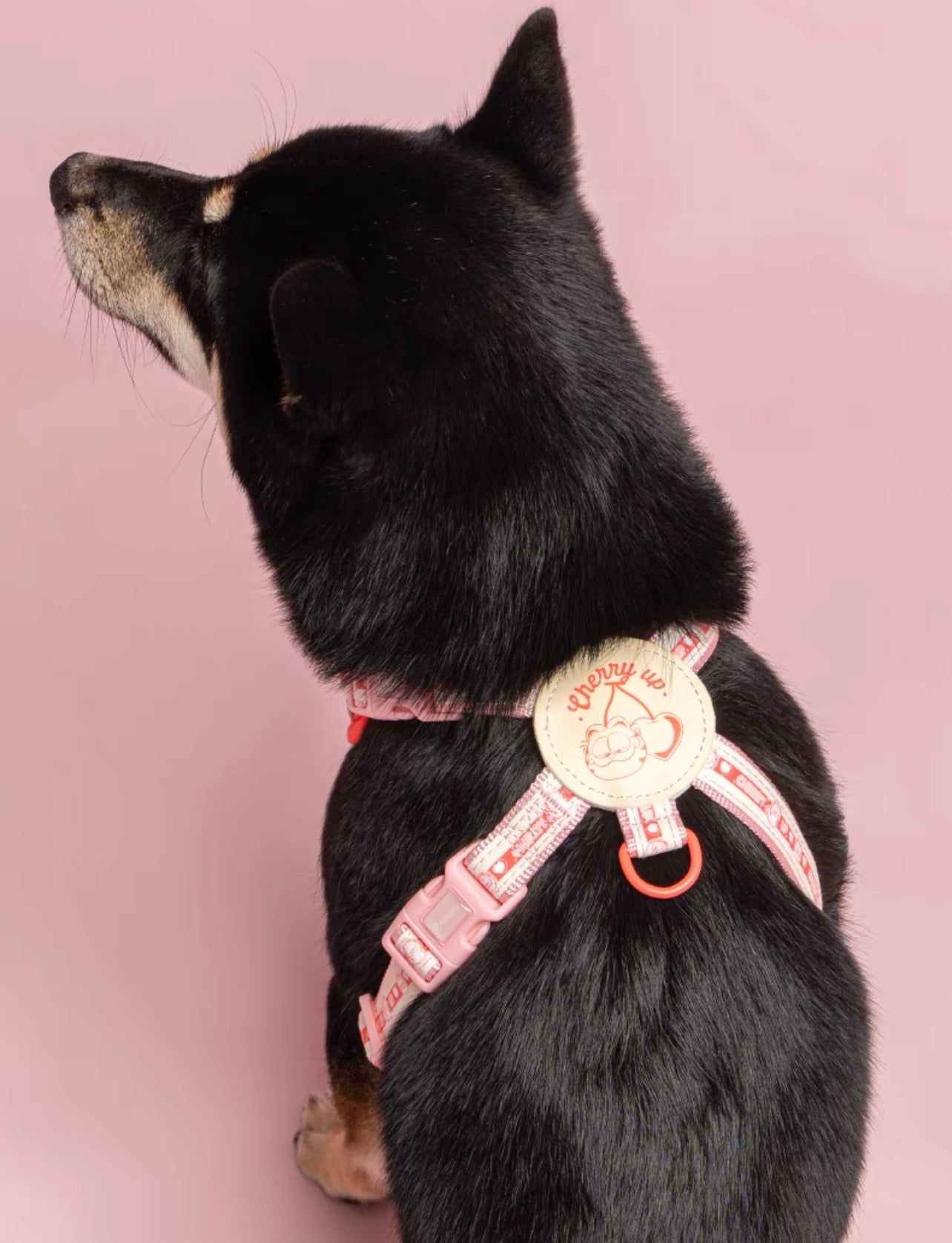 Garfield theme simple design pet harness & leash set