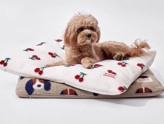 Soft & cozy pet mattress