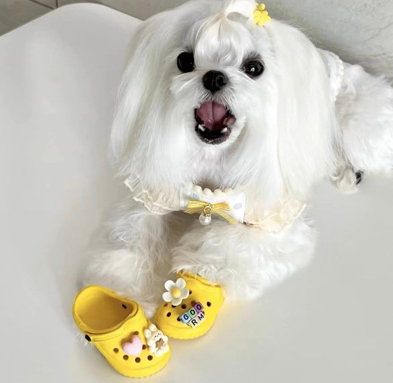 Pet cross sandals
